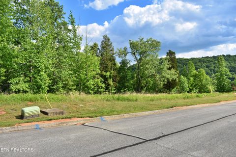 Tiny photo for 56 Blue Heron Bluff Rd, Harriman, TN 37748 (MLS # 1341349)