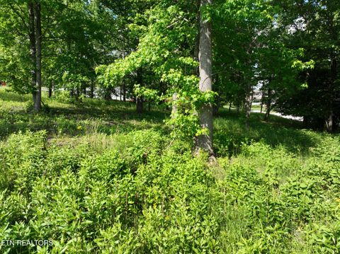 Tiny photo for 56 Blue Heron Bluff Rd, Harriman, TN 37748 (MLS # 1341349)
