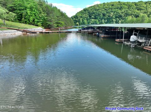 Tiny photo for 56 Blue Heron Bluff Rd, Harriman, TN 37748 (MLS # 1341349)