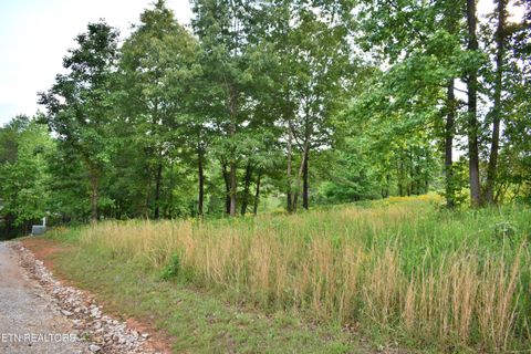 Tiny photo for 56 Blue Heron Bluff Rd, Harriman, TN 37748 (MLS # 1341349)