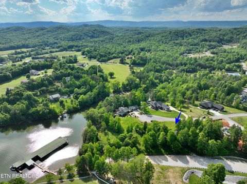 Tiny photo for 56 Blue Heron Bluff Rd, Harriman, TN 37748 (MLS # 1341349)