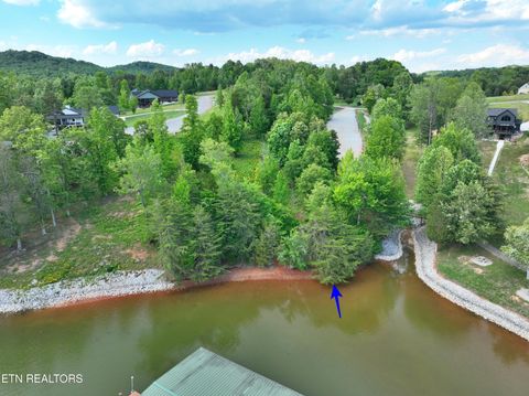 Tiny photo for 56 Blue Heron Bluff Rd, Harriman, TN 37748 (MLS # 1341349)
