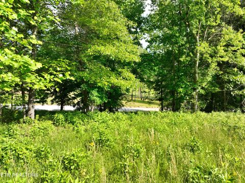 Tiny photo for 56 Blue Heron Bluff Rd, Harriman, TN 37748 (MLS # 1341349)