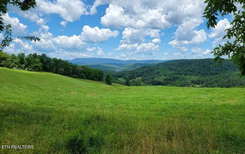 Tiny photo for 420 Walker Rd, Sharps Chapel, TN 37866 (MLS # 1358370)