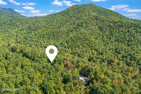 Tiny photo for 1408 Alpine Drive, Sevierville, TN 37876 (MLS # 1359383)