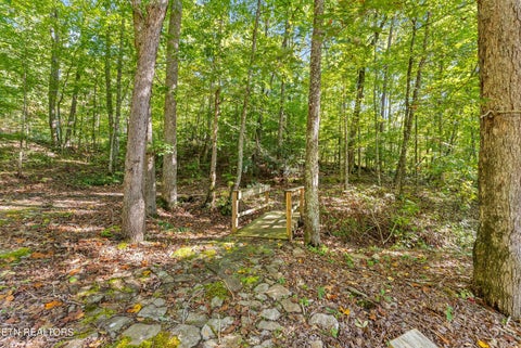 Tiny photo for 1408 Alpine Drive, Sevierville, TN 37876 (MLS # 1359383)