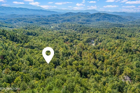 Tiny photo for 1408 Alpine Drive, Sevierville, TN 37876 (MLS # 1359383)