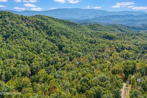 Tiny photo for 1408 Alpine Drive, Sevierville, TN 37876 (MLS # 1359383)