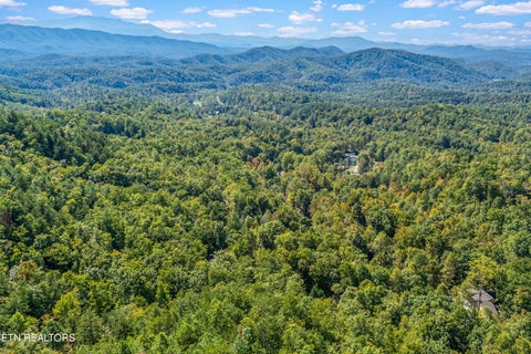 Tiny photo for 1408 Alpine Drive, Sevierville, TN 37876 (MLS # 1359383)