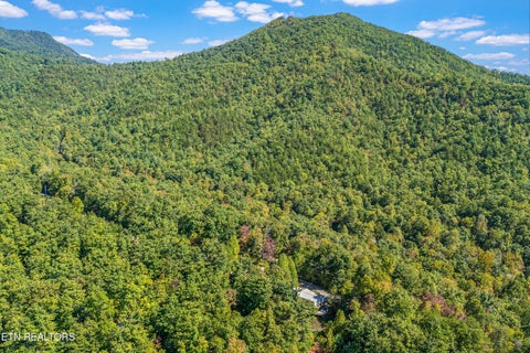 Tiny photo for 1408 Alpine Drive, Sevierville, TN 37876 (MLS # 1359383)