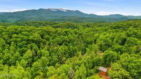 Tiny photo for 1642 Lake Drive, Gatlinburg, TN 37738 (MLS # 1342681)
