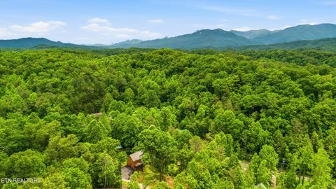 Tiny photo for 1642 Lake Drive, Gatlinburg, TN 37738 (MLS # 1342681)
