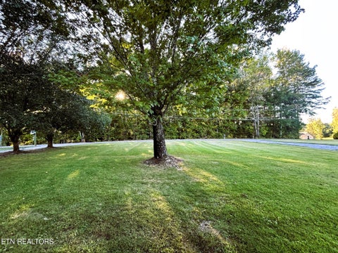 Tiny photo for 169 County Road 439, Athens, TN 37303 (MLS # 1357603)