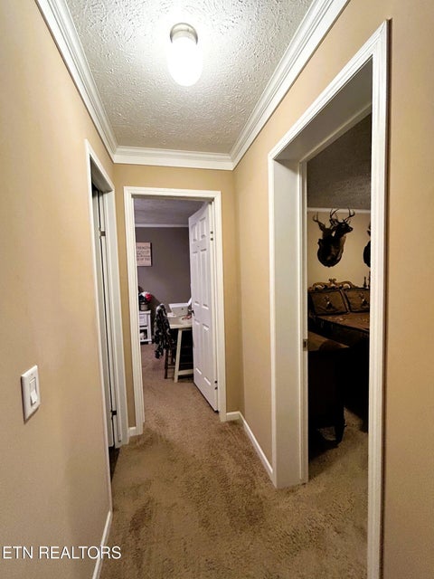 Tiny photo for 169 County Road 439, Athens, TN 37303 (MLS # 1357603)