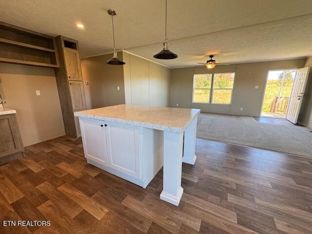 Photo of 665 Painter Rd, Fall Branch, TN 37656 (MLS # 1319323)