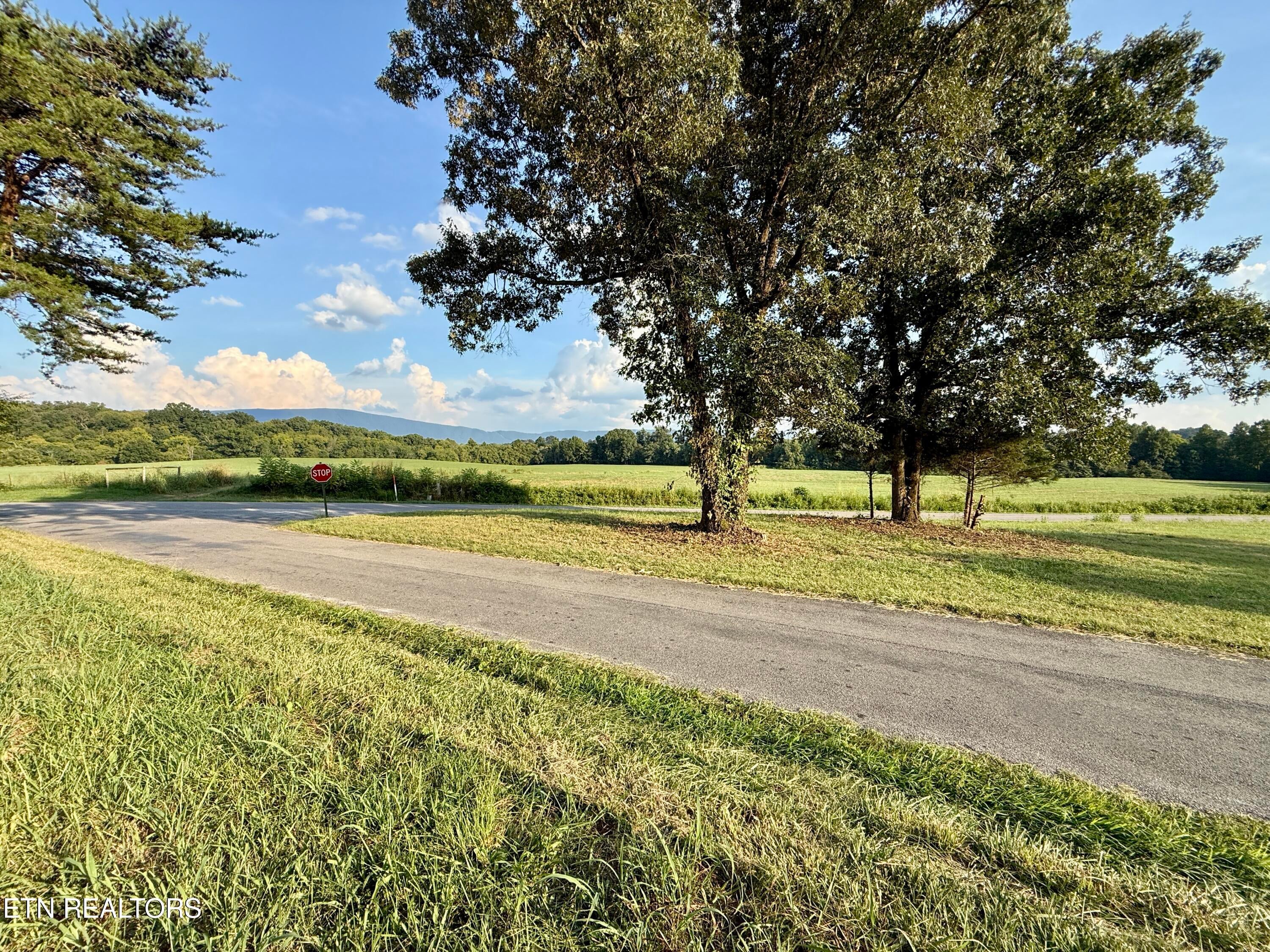 Frog Hollow Rd