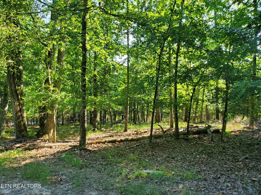 Photo of 1324 Muskogee Drive, Mooresburg, TN 37811 (MLS # 1251984)