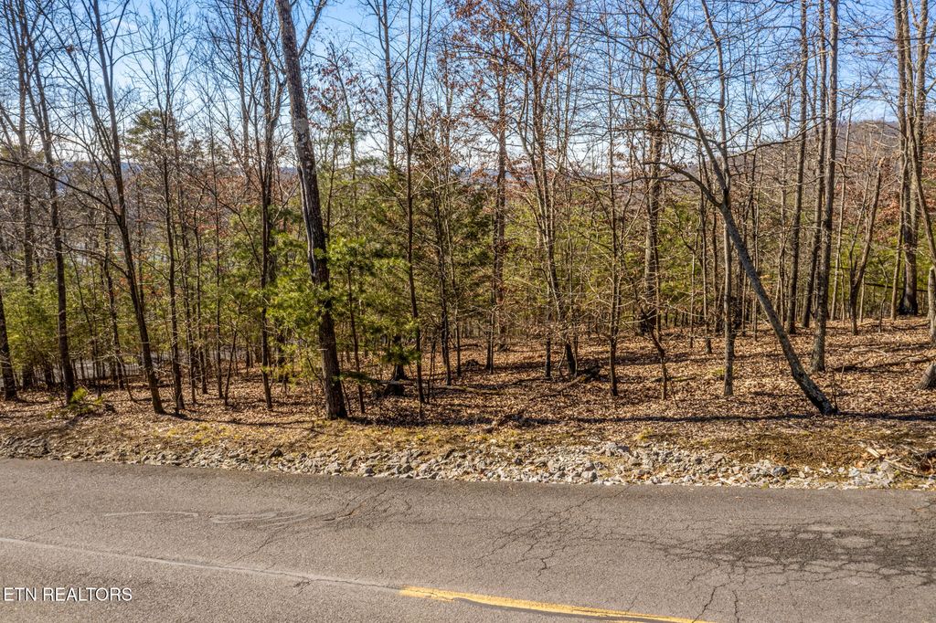 Photo of 1324 Muskogee Drive, Mooresburg, TN 37811 (MLS # 1251984)