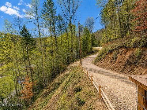 Tiny photo for 2912 Kettle Creek Way, Sevierville, TN 37876 (MLS # 1341075)