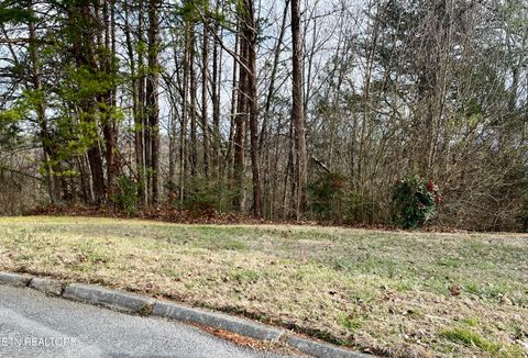 Photo of 26 Blue Dun Court, Pigeon Forge, TN 37863 (MLS # 1329249)