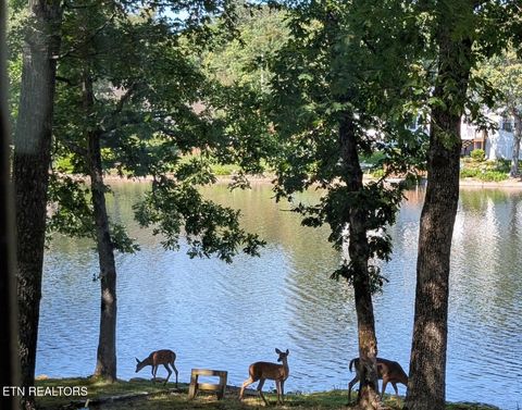 Tiny photo for 3070 Nocatee TRCE, Crossville, TN 38572 (MLS # 1342730)