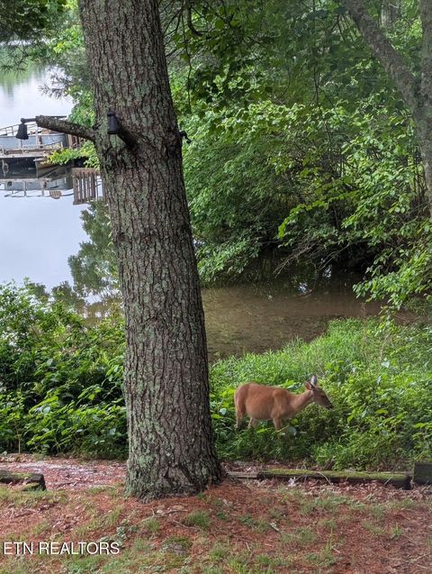 Tiny photo for 3070 Nocatee TRCE, Crossville, TN 38572 (MLS # 1342730)