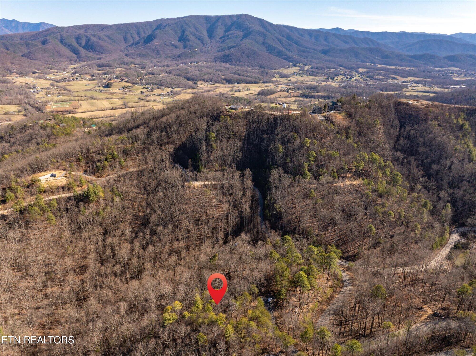 7 Lots Gold leaf Estates