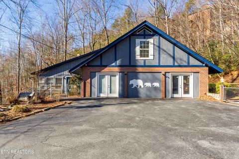 751 Ridge Rd Gatlinburg TN 37738