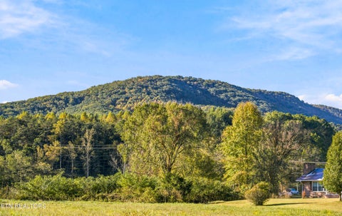 Tiny photo for 2468 Hartford Rd, Cosby, TN 37722 (MLS # 1360103)