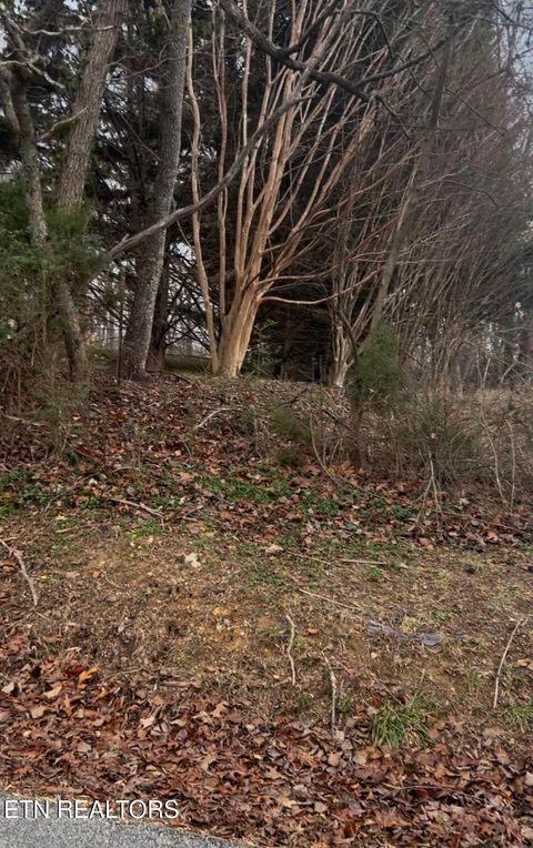 Stephens Rd Rocky Top TN 37769