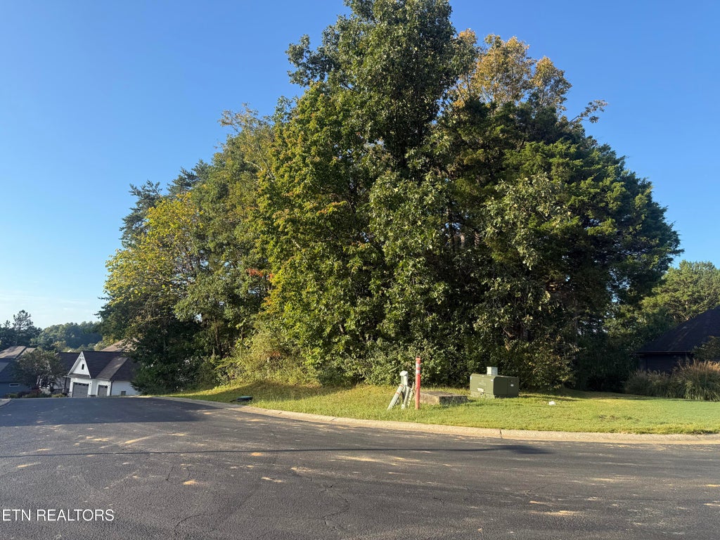 Photo of 108 Nowata Drive, Loudon, TN 37774 (MLS # 1355196)