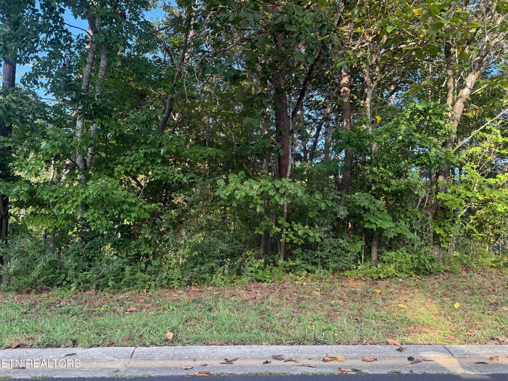 Photo of 108 Nowata Drive, Loudon, TN 37774 (MLS # 1355196)
