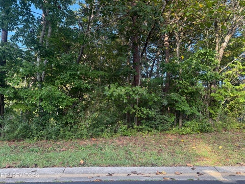 Photo of 108 Nowata Drive, Loudon, TN 37774 (MLS # 1355196)