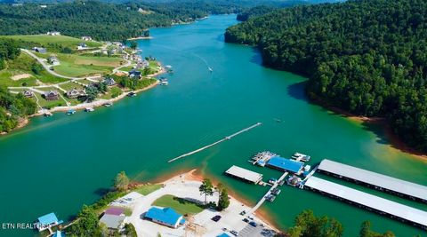 Tiny photo for TBD Mariner Point Rd Rd, LaFollette, TN 37766 (MLS # 1347327)