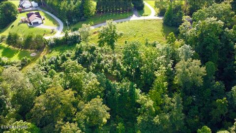 Tiny photo for TBD Mariner Point Rd Rd, LaFollette, TN 37766 (MLS # 1347327)
