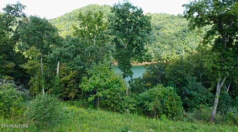Tiny photo for TBD Mariner Point Rd Rd, LaFollette, TN 37766 (MLS # 1347327)