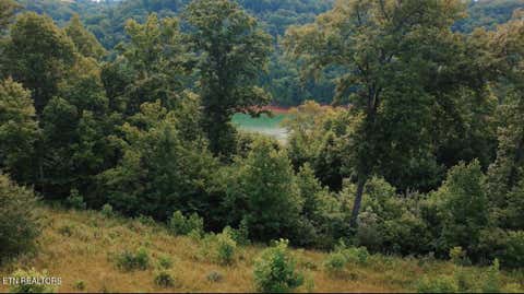 Tiny photo for TBD Mariner Point Rd Rd, LaFollette, TN 37766 (MLS # 1347327)