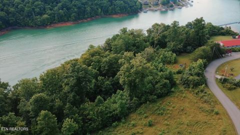 Tiny photo for TBD Mariner Point Rd Rd, LaFollette, TN 37766 (MLS # 1347327)