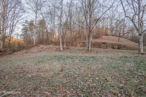 Tiny photo for 299 Big Mountain Hollow Rd, Oliver Springs, TN 37840 (MLS # 1324408)