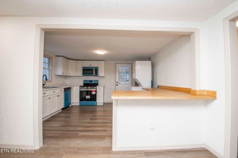 Tiny photo for 299 Big Mountain Hollow Rd, Oliver Springs, TN 37840 (MLS # 1324408)