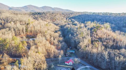 Tiny photo for 299 Big Mountain Hollow Rd, Oliver Springs, TN 37840 (MLS # 1324408)