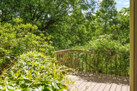 Tiny photo for 8940 Kelsey Lane, Knoxville, TN 37922 (MLS # 1338676)
