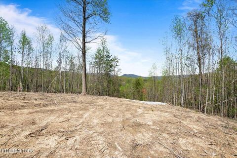 Tiny photo for 281 Red Oak Circle, Caryville, TN 37714 (MLS # 1325498)