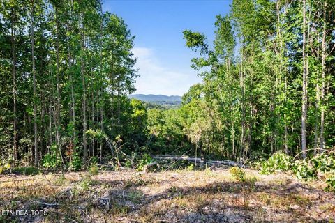 Tiny photo for 281 Red Oak Circle, Caryville, TN 37714 (MLS # 1325498)