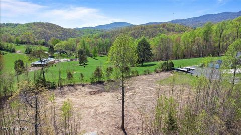 Tiny photo for 281 Red Oak Circle, Caryville, TN 37714 (MLS # 1325498)