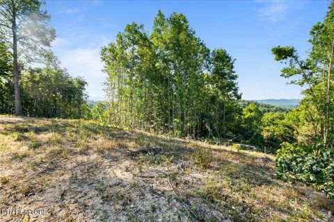 Tiny photo for 281 Red Oak Circle, Caryville, TN 37714 (MLS # 1325498)