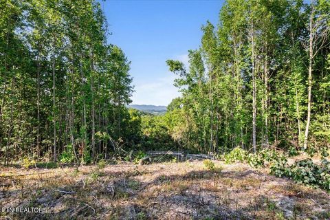 Tiny photo for 281 Red Oak Circle, Caryville, TN 37714 (MLS # 1325498)