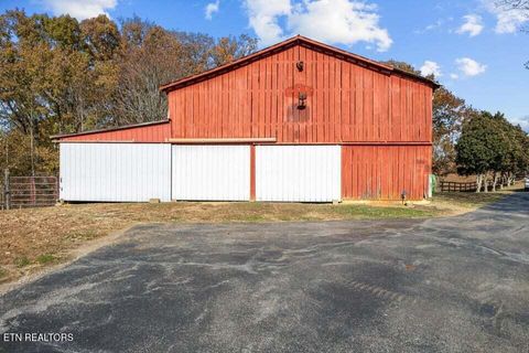 Tiny photo for 6130 James Cline Rd, Talbott, TN 37877 (MLS # 1324315)