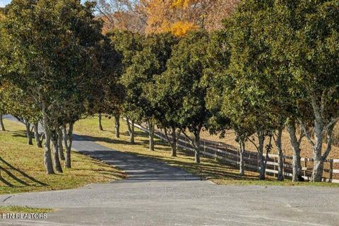 Tiny photo for 6130 James Cline Rd, Talbott, TN 37877 (MLS # 1324315)