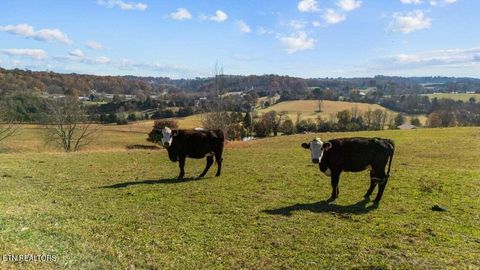 Tiny photo for 6130 James Cline Rd, Talbott, TN 37877 (MLS # 1324315)